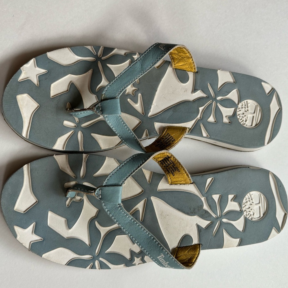 Timberland Blue and Gold Sandals